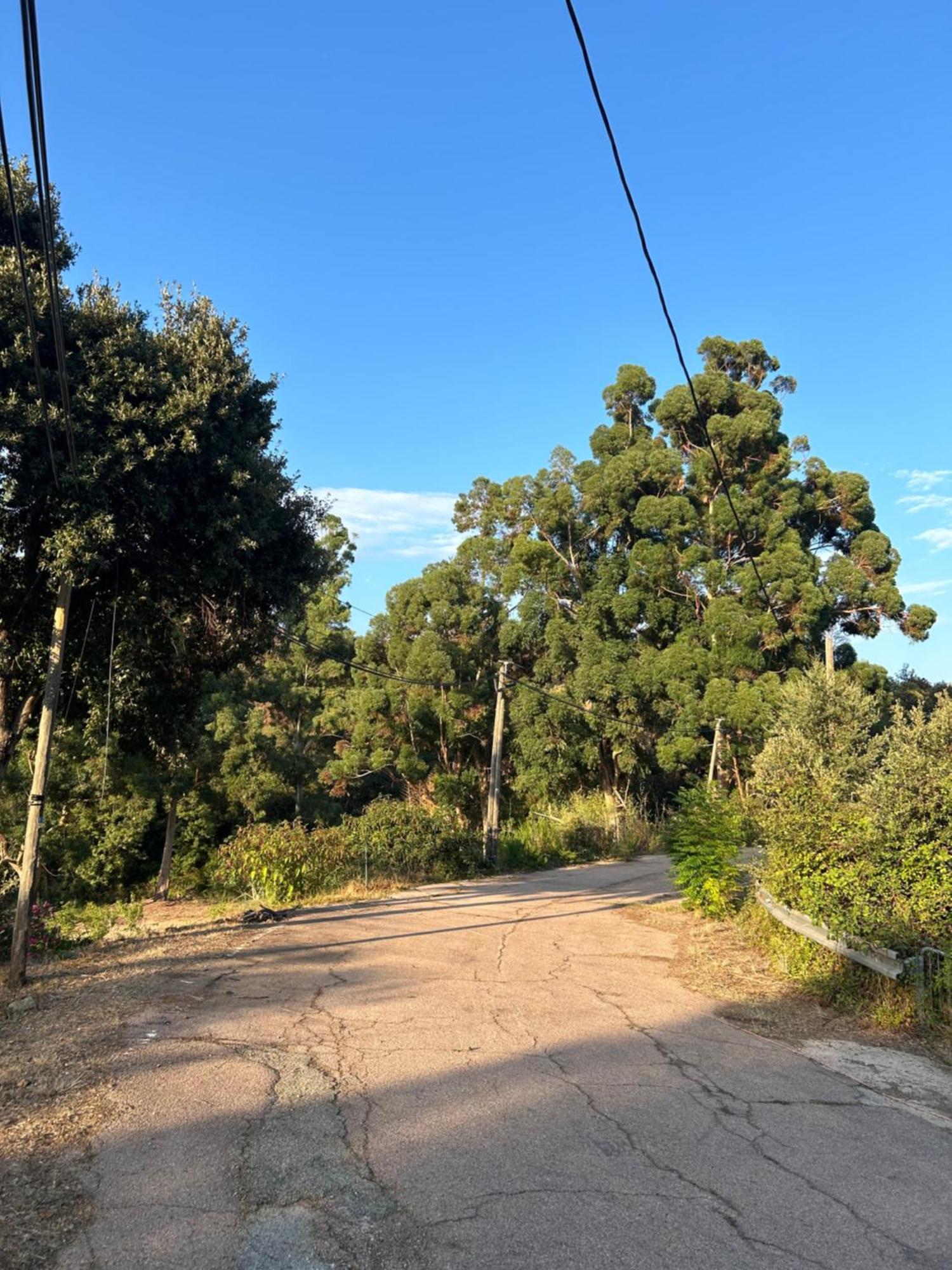 סארי סולנזארה Auberge De Cannedda מראה חיצוני תמונה